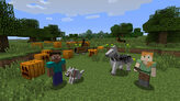 minecraft fields